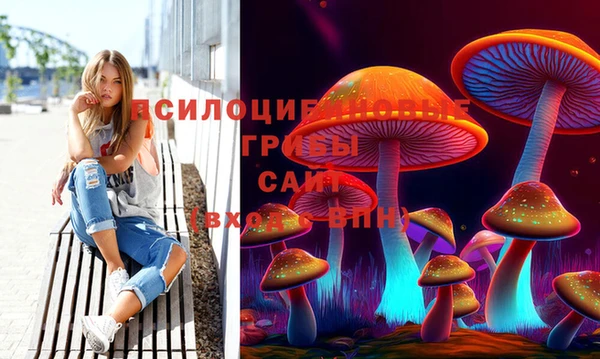 дурь Нязепетровск