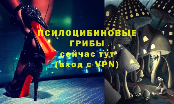 дурь Нязепетровск