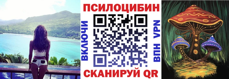 где купить наркотик Кемь мега ссылка Псилоцибиновые грибы GOLDEN TEACHER